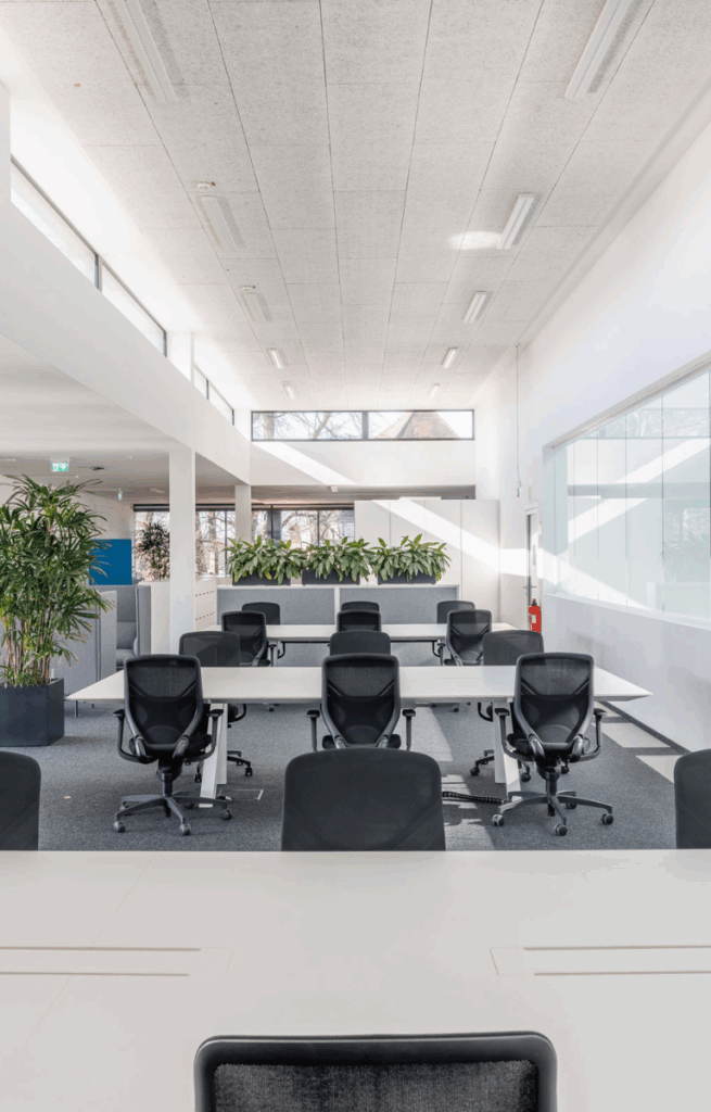 Heller Coworking-Space mit mehreren Schreibtischen und schwarzen Bürostühlen, separiert durch Pflanzen; große Fensterfronten sorgen für viel Tageslicht.